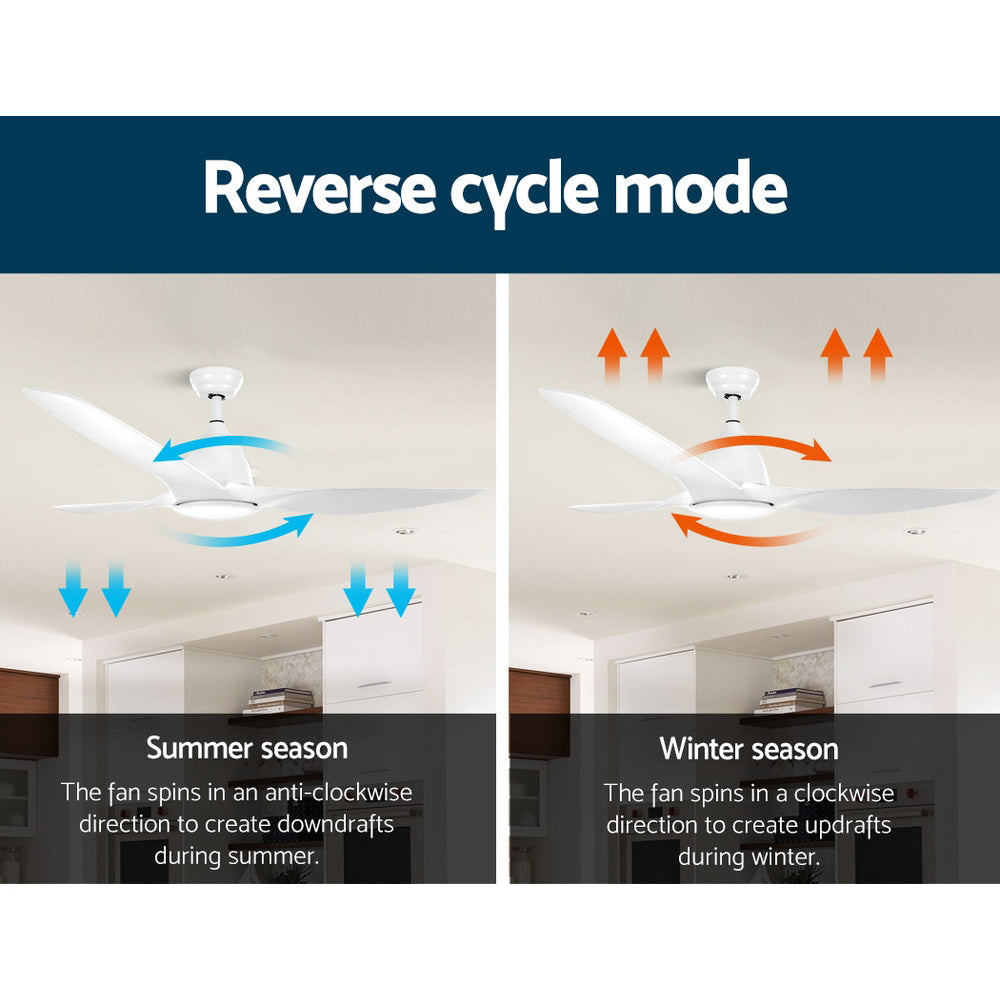 Marlook 64'' Ceiling Fan DC Motor w/Light w/Remote - White