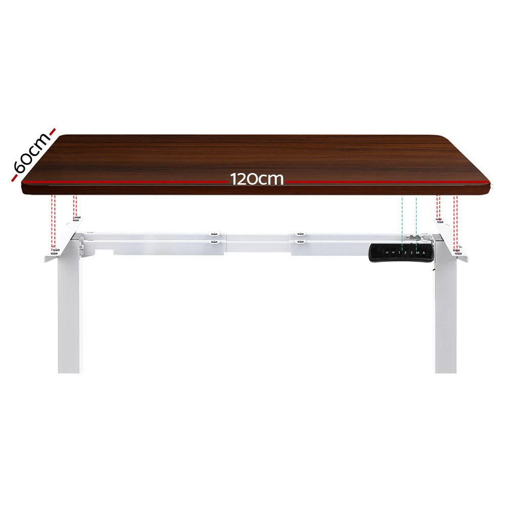 Marlook Standing Desk Motorised Dual Motor 120CM Walnut