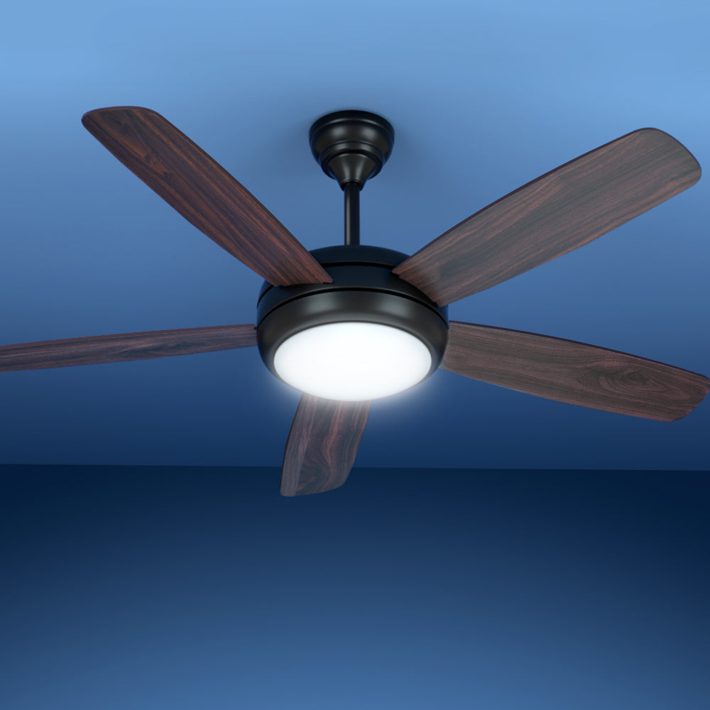 Marlook 52'' Ceiling Fan AC Motor 5 Blades w/Light - Dark Wood