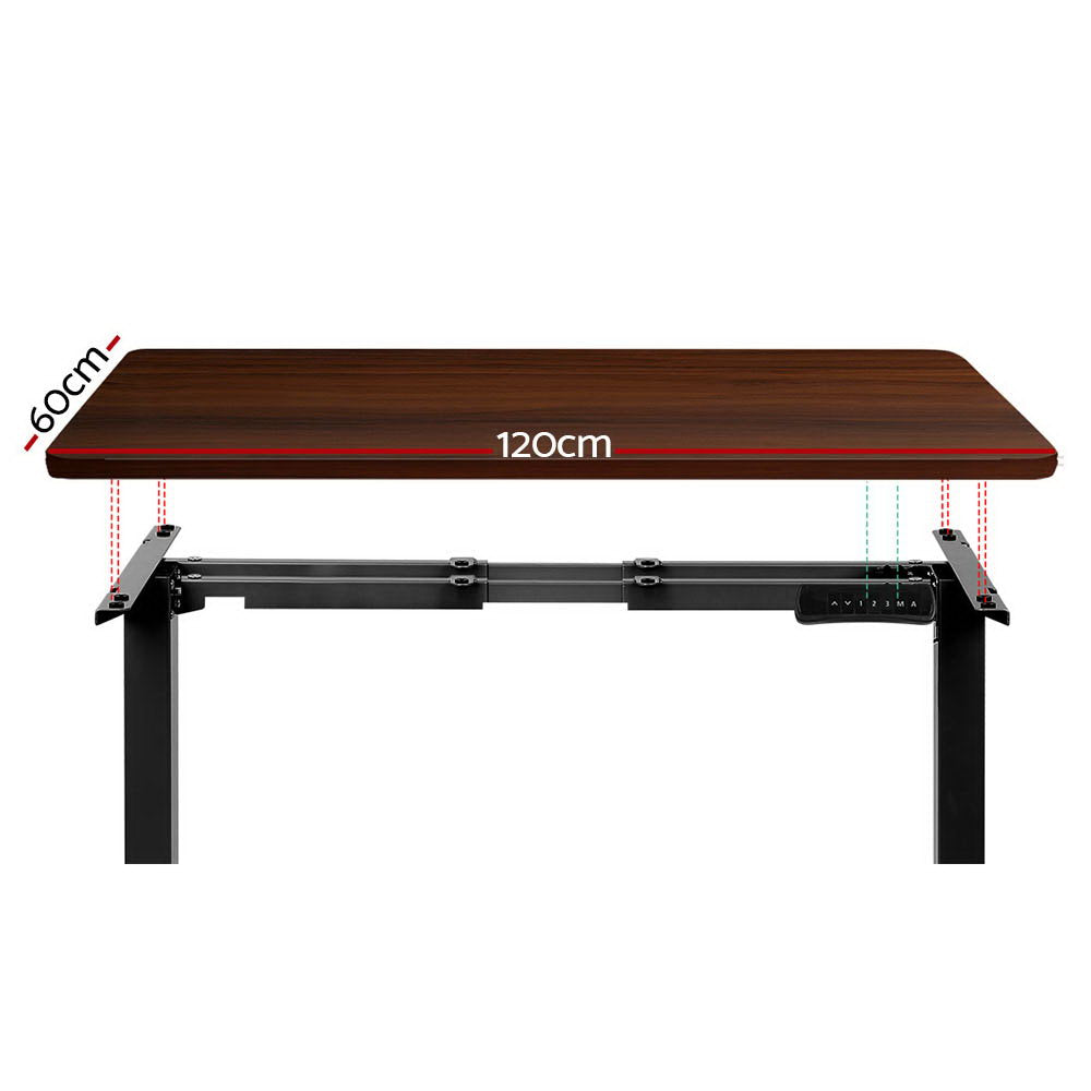 Marlook Standing Desk Motorised Dual Motor Walnut 120CM