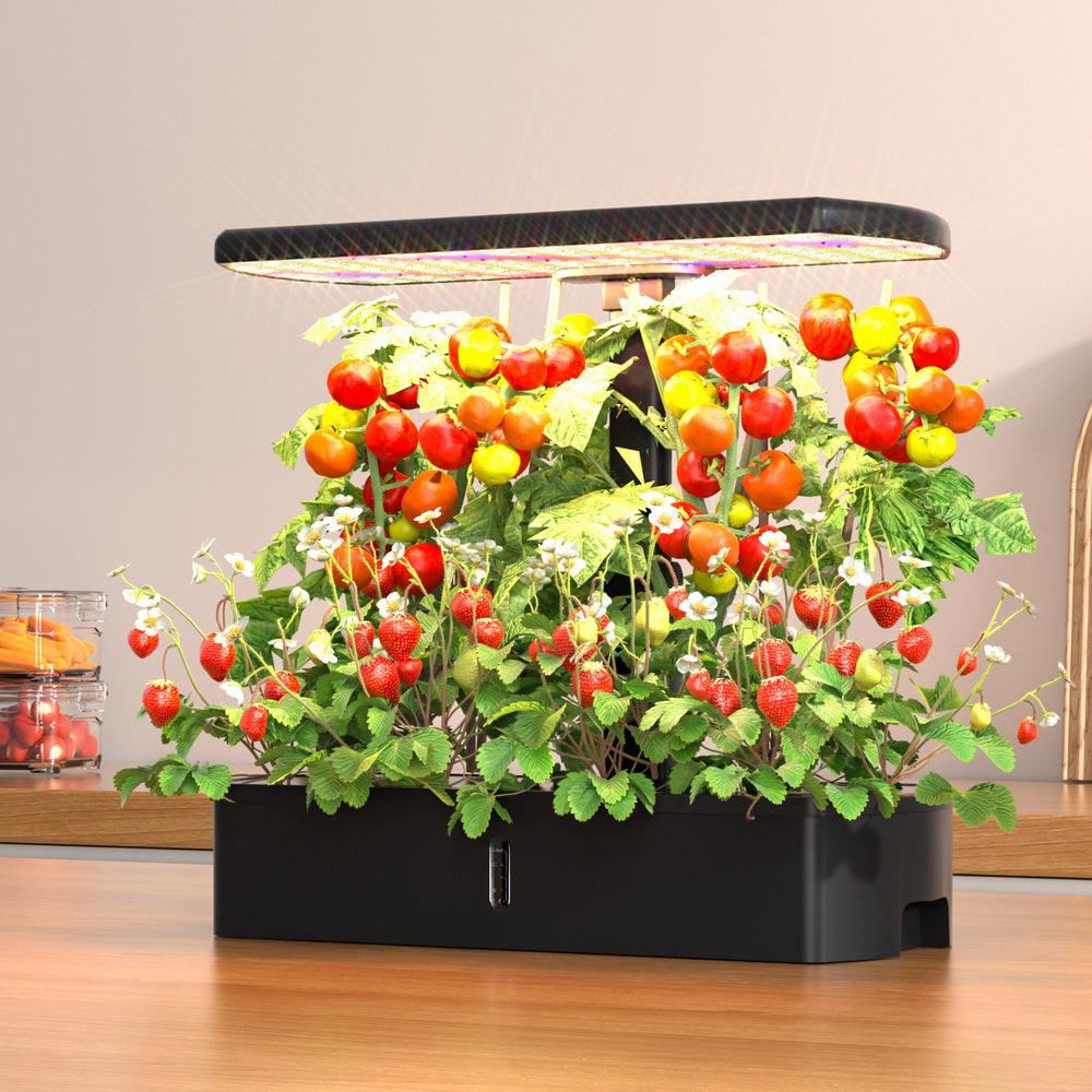 Marlook Hydroponics Growing System with LED lights